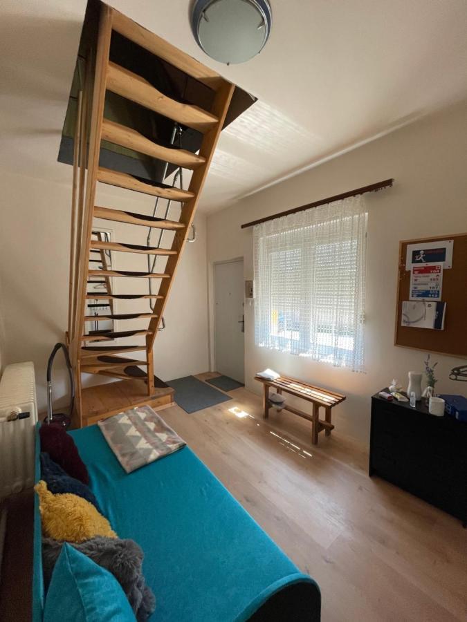 Mira Kucko Apartman Oreglak Kültér fotó